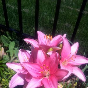 Meet your Posher, Charlotte